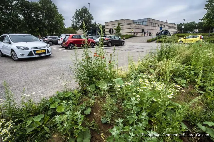Kaders voor ontwikkeling voormalige sport- en zwemlocatie