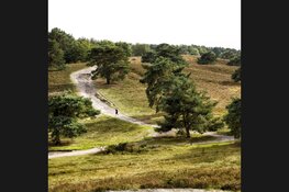 Een nieuwe bestemming voor de Mourik Groeve in Brunssum