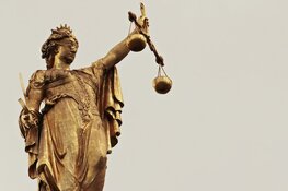Vijftien jaar cel en tbs geëist in schokkende zedenzaak rond oppas