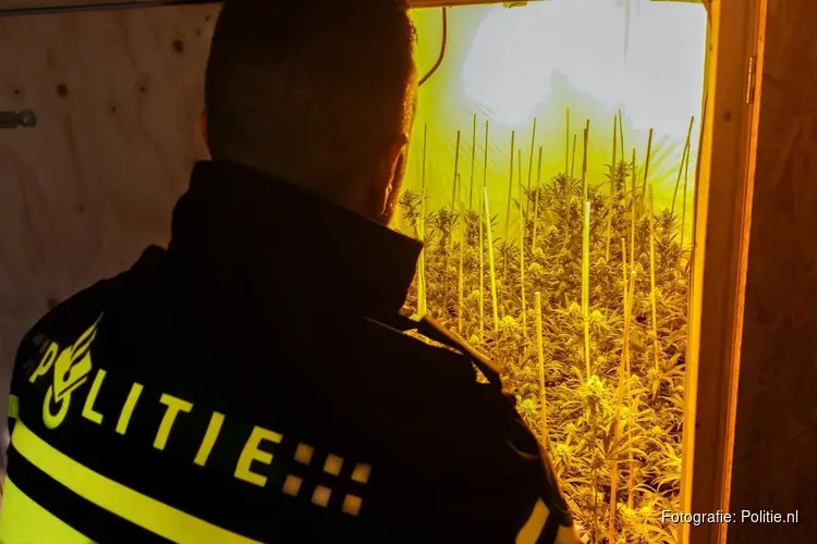 Aantreffen hennepplantage in woning Geleen
