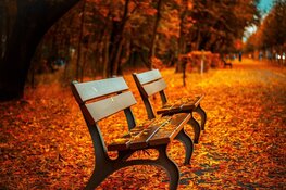 Overgang naar wisselvallig en herfstachtig weer