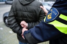 Agenten gewond bij aanhouding