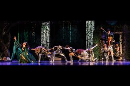 Sneeuwwitje in het PLUUSJ