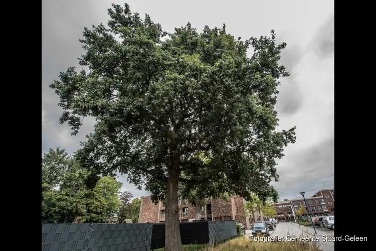 Herdenking zigeunerrazzia in Born